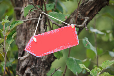 Similar image 1496489