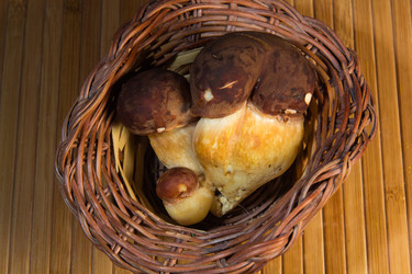 Similar image 1496502