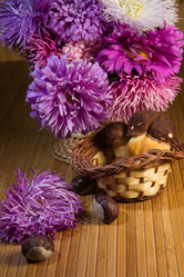 Similar image 1496503