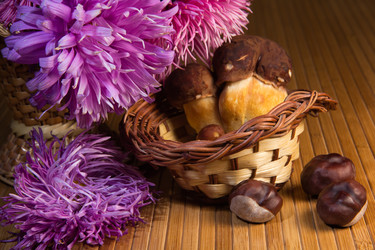 Similar image 1496504