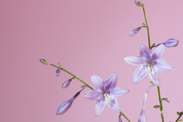 Similar image 1496510