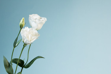 Similar image 1496512