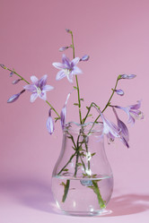 Similar image 1496515