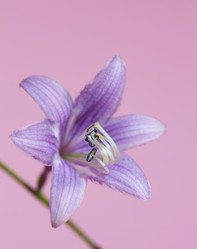 Similar image 1496516