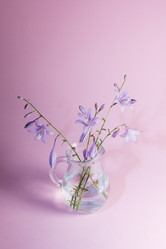 Similar image 1496517