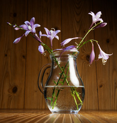 Similar image 1496519