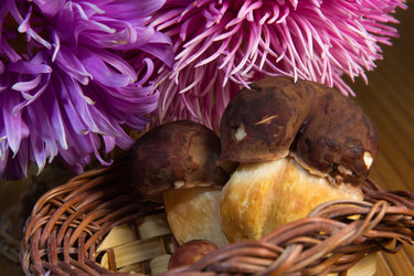 Similar image 1496522