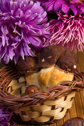 Similar image 1496523