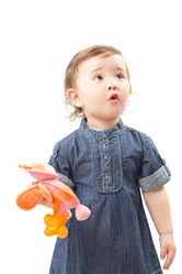 Similar image 1496611