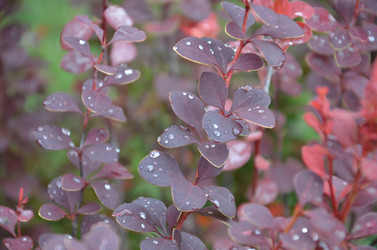 Similar image 1496626