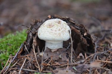 Similar image 1496627