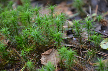 Similar image 1496628