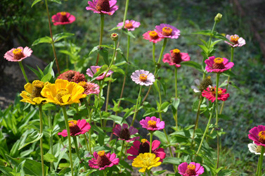 Similar image 1496681