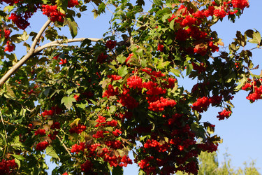 Similar image 1496689