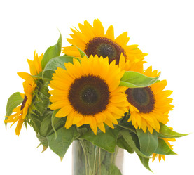 Similar image 1496868