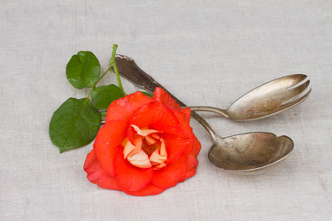 Similar image 1496870