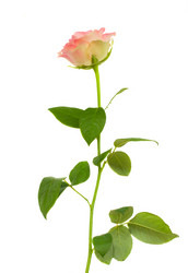 Similar image 1496873