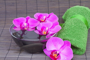 Similar image 1496877