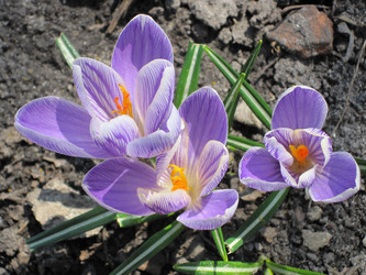 Similar image 1496904