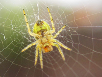 Similar image 1496924