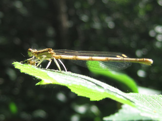 Similar image 1497070