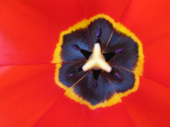 Similar image 1497073