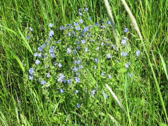 Similar image 1497074