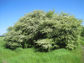 Similar image 1497076