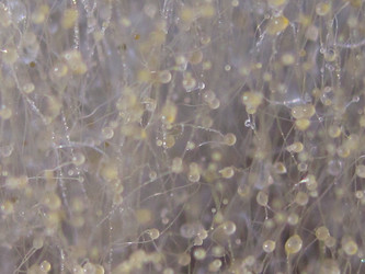 Similar image 1497077