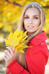 Similar image 1497080