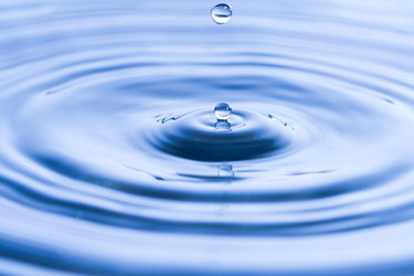 Similar image 1497092