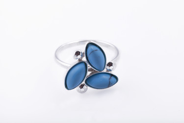 Similar image 1497139