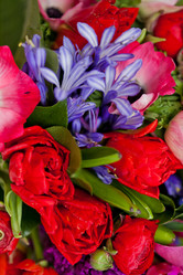 Similar image 1497157