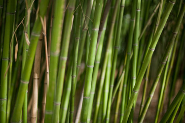 Similar image 1497159