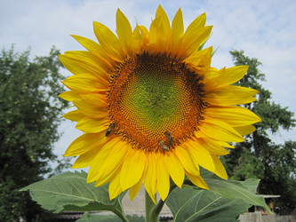 Similar image 1497172