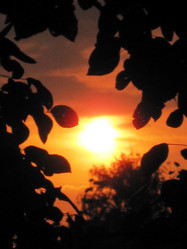 Similar image 1497173