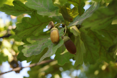 Similar image 1497174