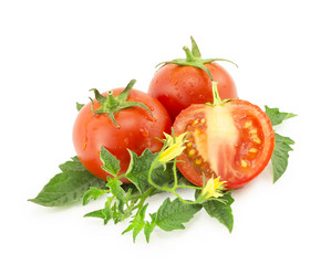 Similar image 1497185