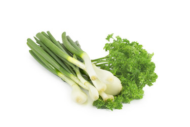 Similar image 1497188