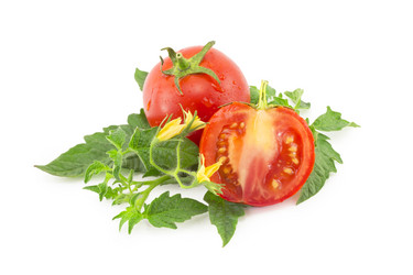 Similar image 1497192