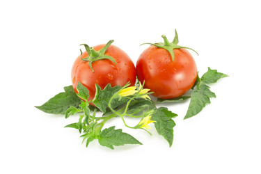 Similar image 1497193