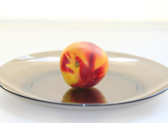 Similar image 1497197