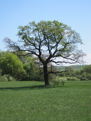 Similar image 1497198