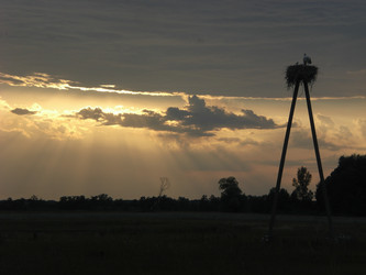 Similar image 1497200