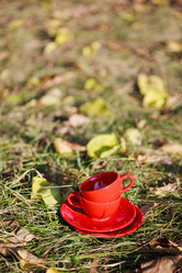 Similar image 1497245