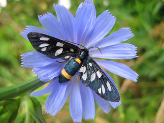 Similar image 1497246