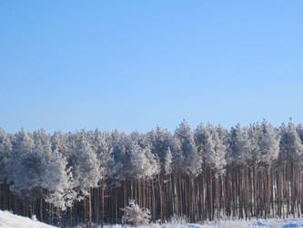 Similar image 1497249