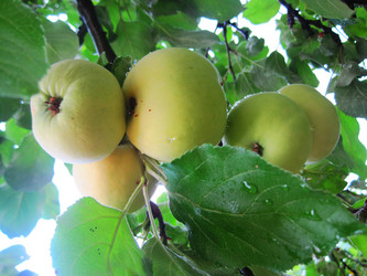 Similar image 1497251