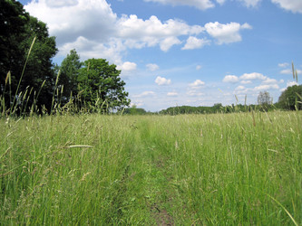 Similar image 1497253