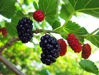 Similar image 1497314